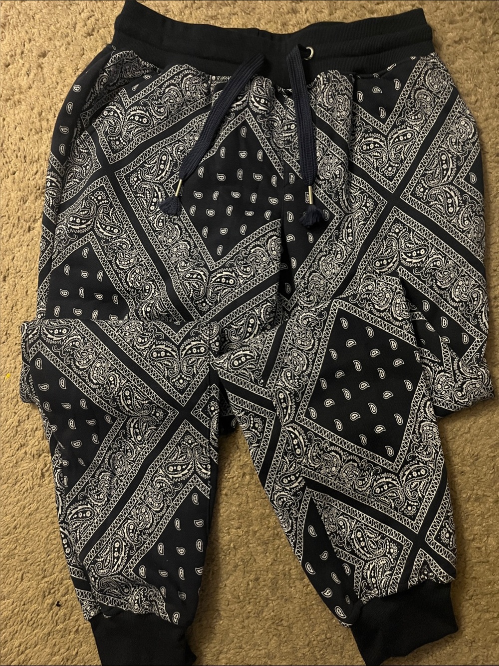 Navy & White Bandana Paisley Print sweatpants